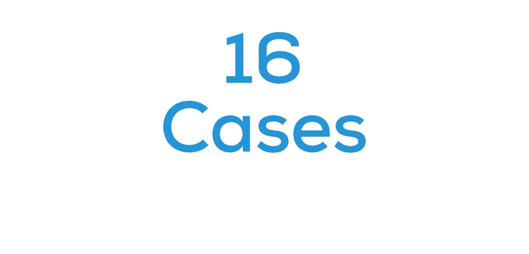 iPhone 16 Cases