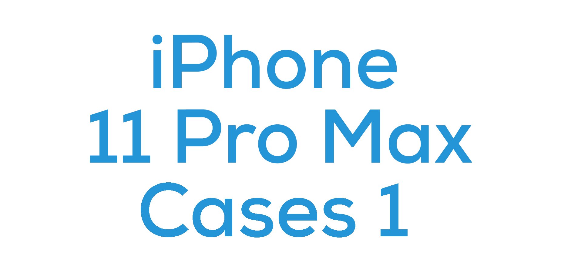 iPhone 11 Pro Max Cases 1