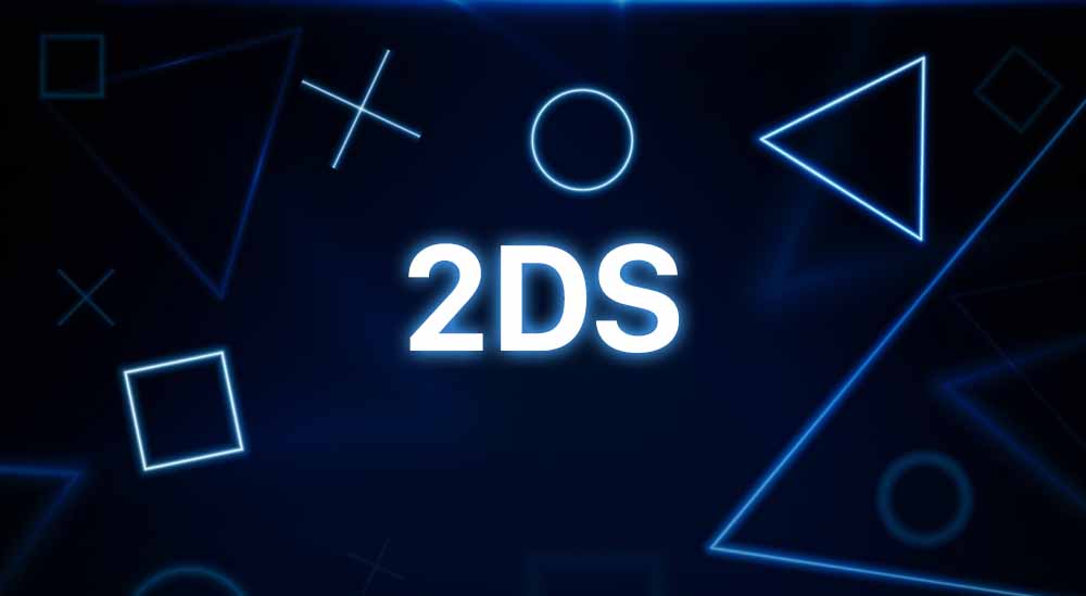 2DS