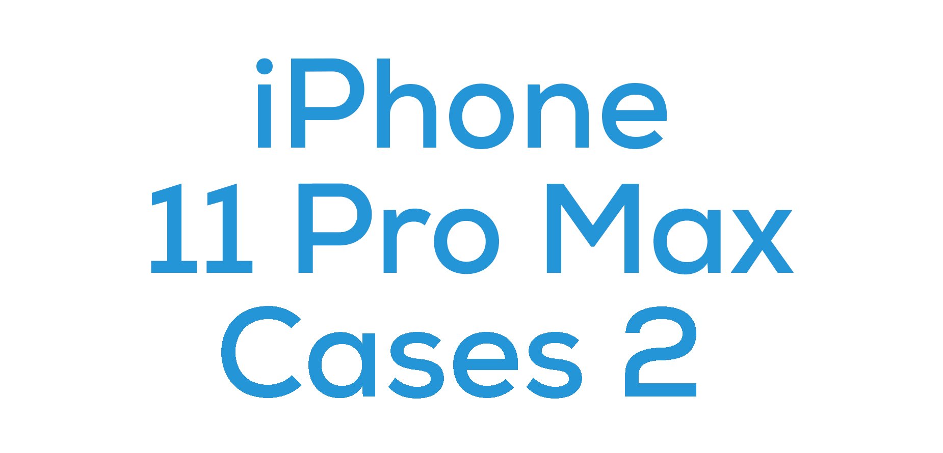 iPhone 11 Pro Max Cases 2