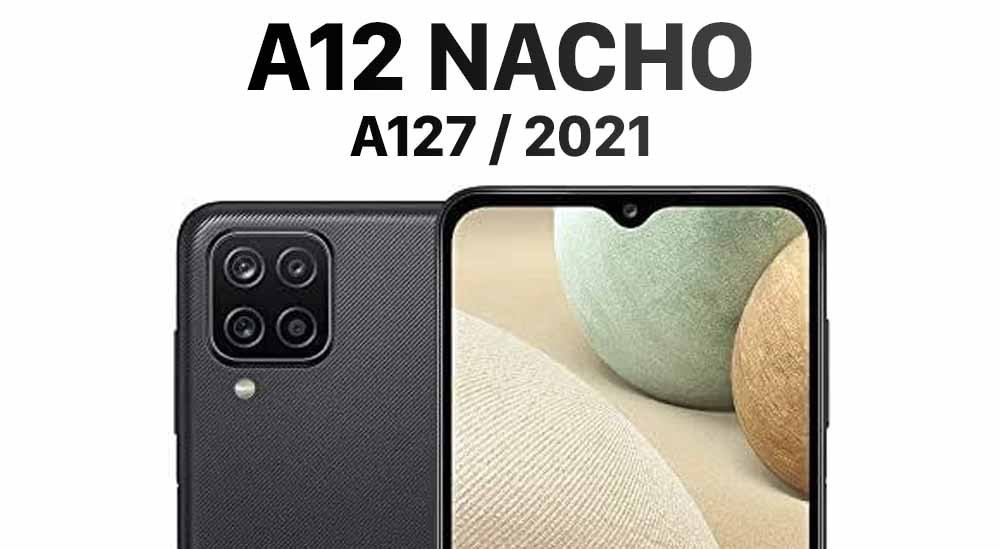 A12 Nacho (A127 / 2021)