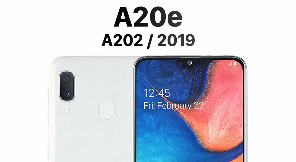 A20e (A202 2019)
