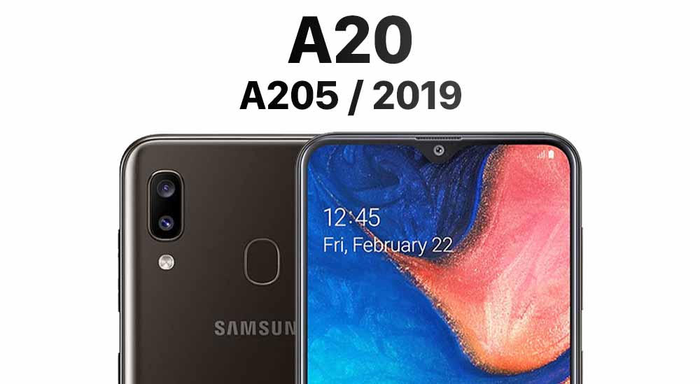 A20 (A205 2019)