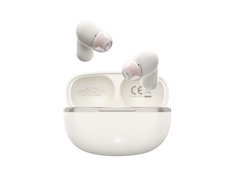 Earbuds