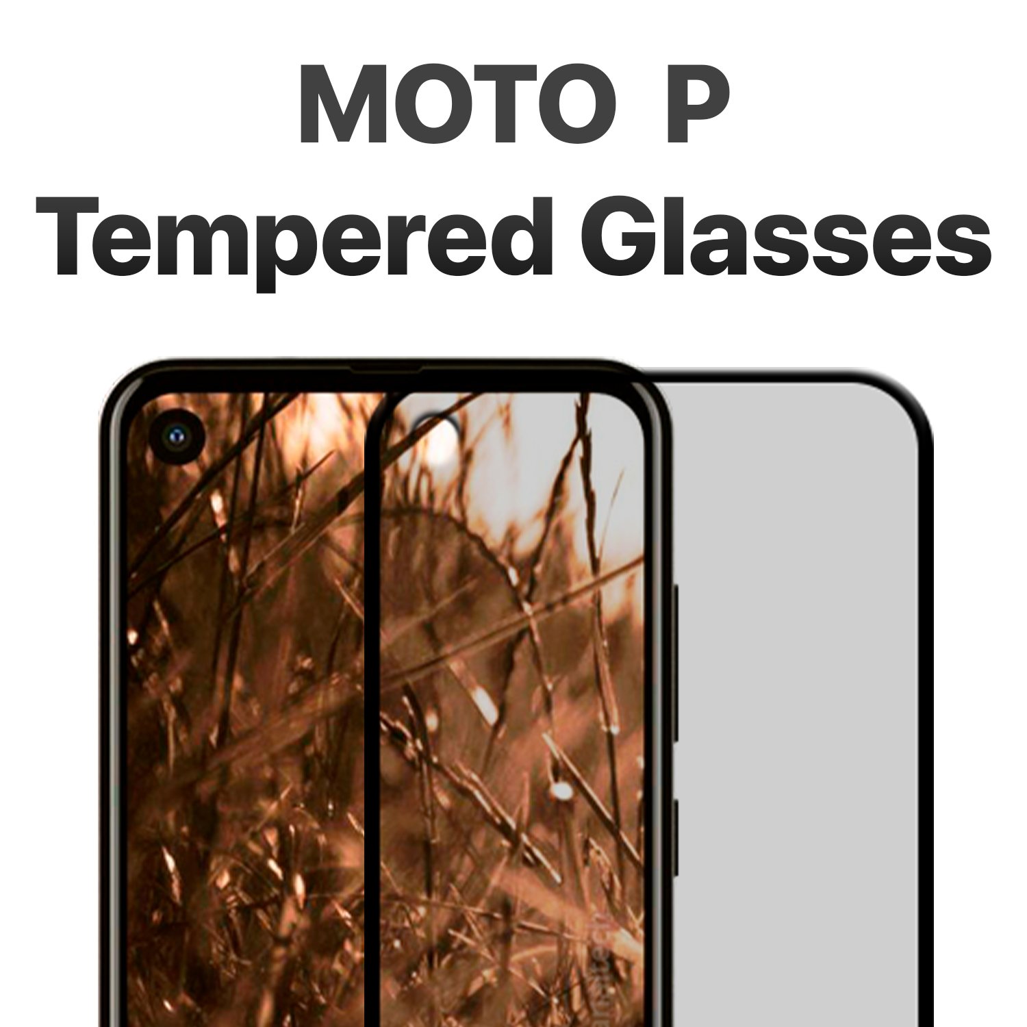 Moto P Tempered Glasses