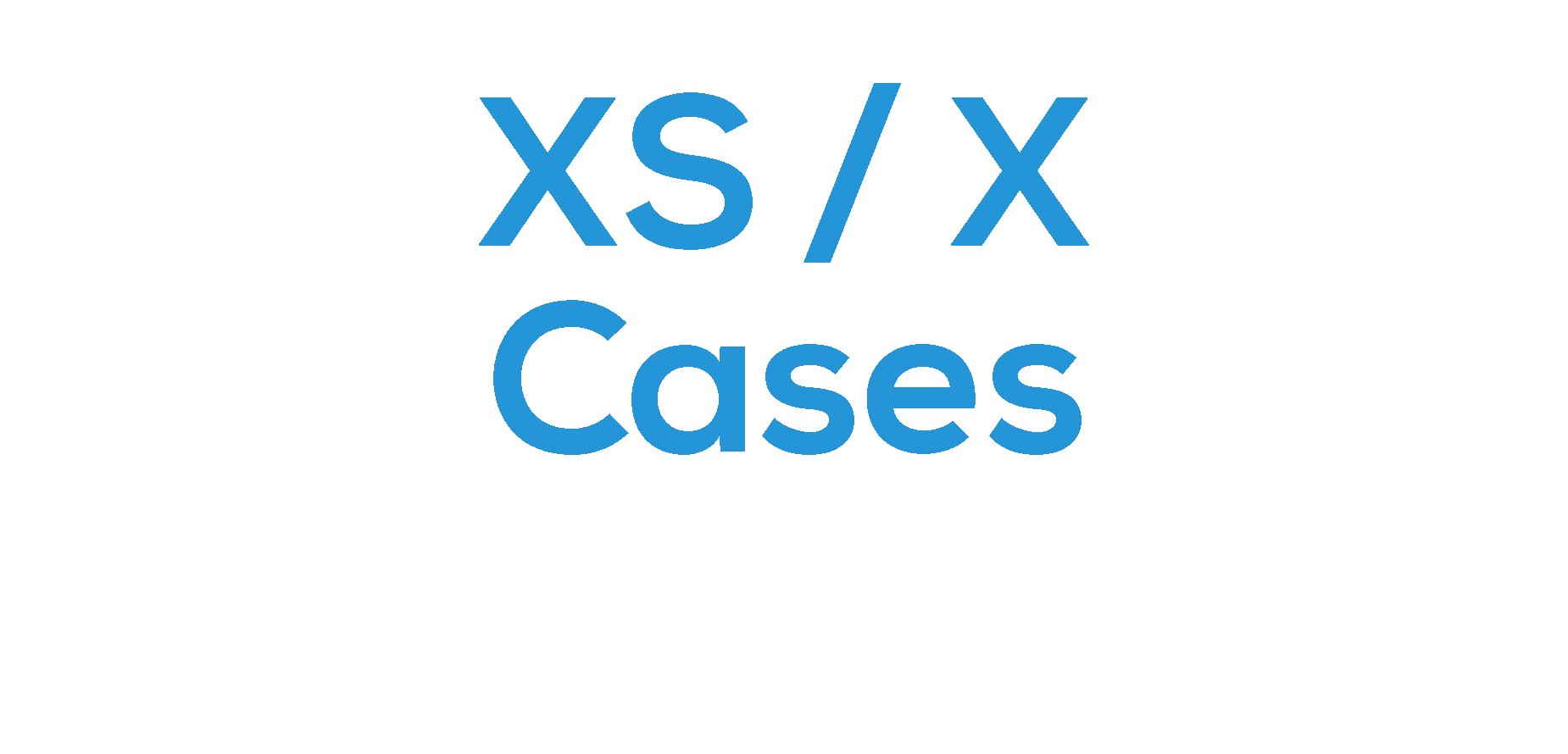 iPhone XS / X Cases