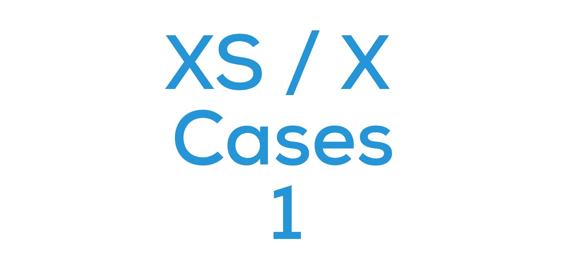 iPhone XS / X Cases 1