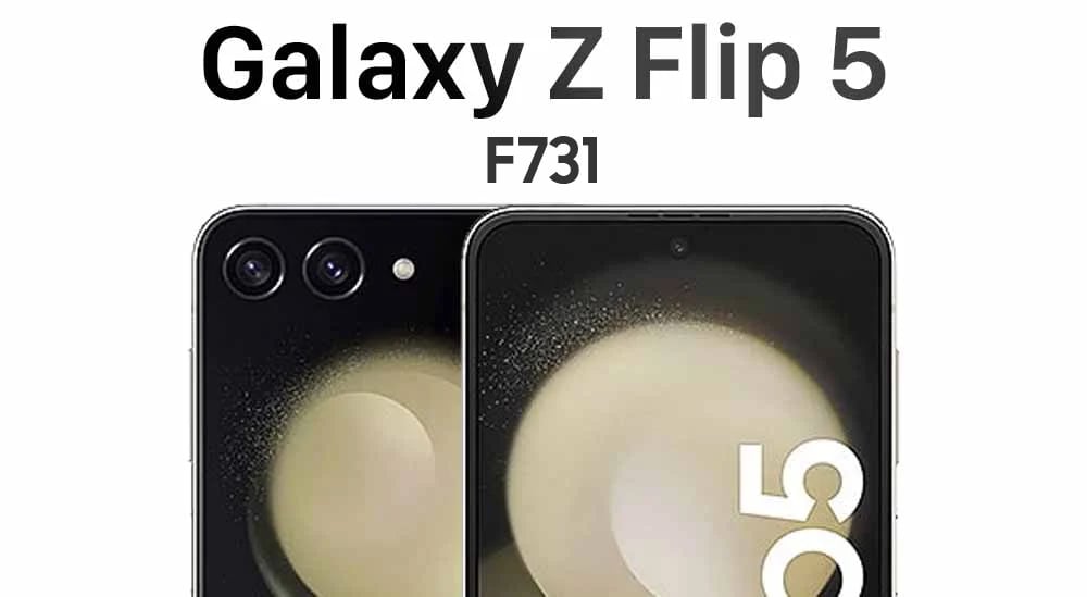 Z Flip 5 (F731)