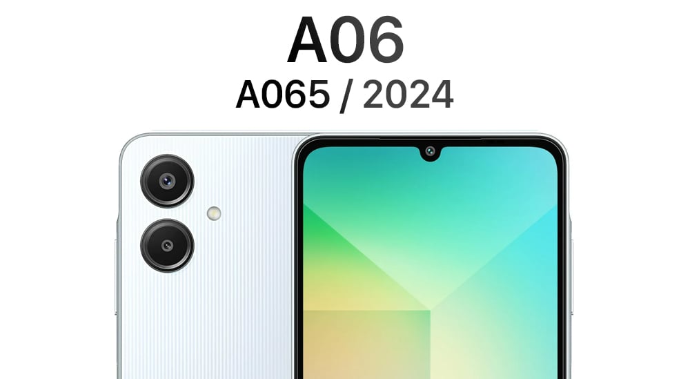 A06 (A065 2024)