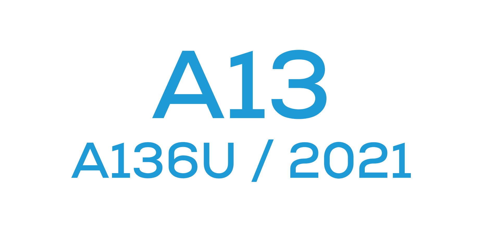 A13 5G (A136 / 2021)