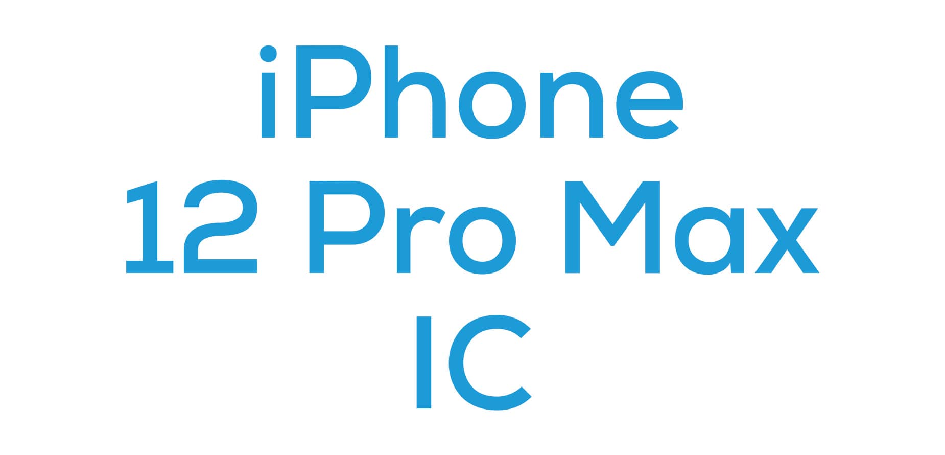 iPhone 12 Pro Max IC