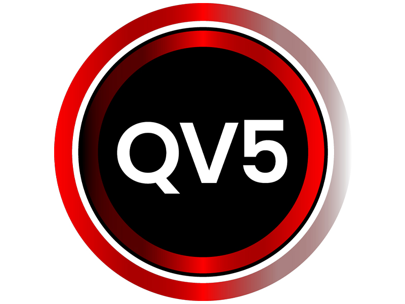 QV5 LCDs