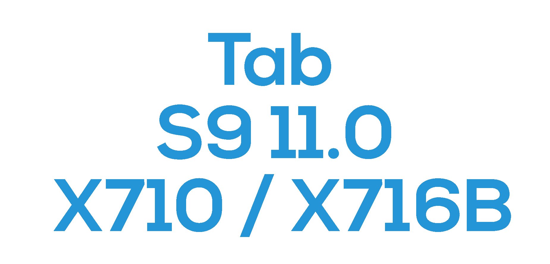 Tab S9 11.0" (X710, X716B)