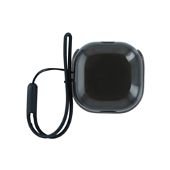 Galaxy Buds Pro / Buds 2 Pro / Buds 2 / Buds FE / Buds Live Transparent Case - BLACK & BLACK (Only Ground Shipping)