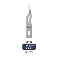 QianLi Handmade Polished Blades - DP-01 (Not Returnable)