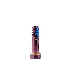 Purchase the pack of 10 rose gold bottom screws for iPhone SE 2020, iPhone 8 Plus, 8, 7 Plus, and 7.