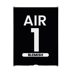LCD Assembly for iPad Air 1 (Blemish)