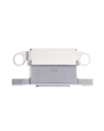 Order the iPhone 12 Pro Max Charging Port SILVER Pack of 10.

