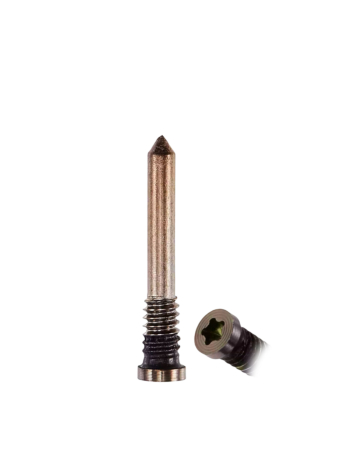 Buy the Bottom Screws in Gold for iPhone 16 Pro and 16 Pro Max in a pack of 100.