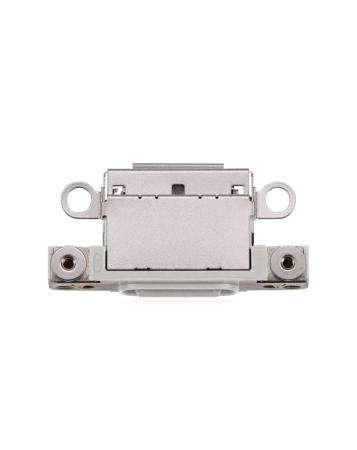 Shop a 10-pack of Charging Ports in White Titanium for iPhone 16 Pro and 16 Pro Max.