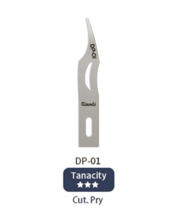 QianLi Handmade Polished Blades - DP-01 (Not Returnable)