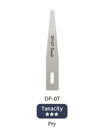 QianLi Handmade Polished Blades - DP-07 (Not Returnable)