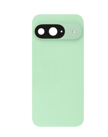 Back Cover for Google Pixel 9 (WINTERGREEN) (Service Pack)