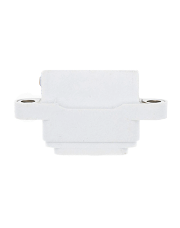 Charging Port for iPad 7 (2019 / iPad 8 (2020) / iPad 9 (2021) (Soldering Required) (WHITE)