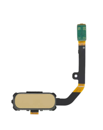 Grab wholesale deals on the home button flex cable for Galaxy S7 Active in Gold.