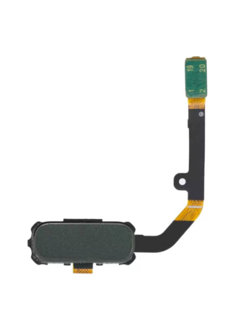 Shop the home button flex cable for Galaxy S7 Active in Green.