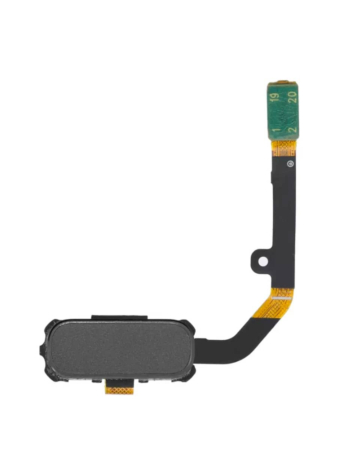 Order the home button flex cable for Galaxy S7 Active in Gray.