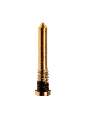 Order the bottom screw in gold for iPhone X to 14 Pro Max, pack of 20.

