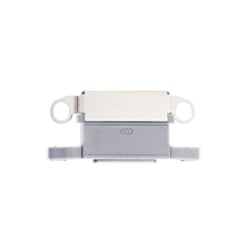 Order the iPhone 12 Pro Max Charging Port SILVER Pack of 10.

