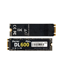 Derlar DL-600 NGFF M.2 2280 256GB SSD Solid State Drive