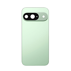 Back Cover with Camera Lens for Google Pixel 9 (WINTERGREEN)