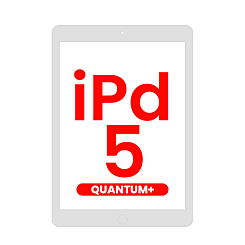 Quantum+ iPad 5 (2017) Digitizer Assembly (SILVER) (Home Button Pre-Installed)