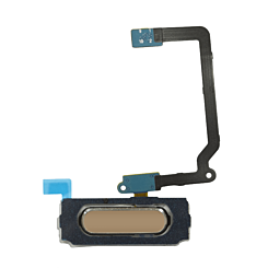 Stock up on the gold fingerprint sensor with flex cable for Galaxy S5.