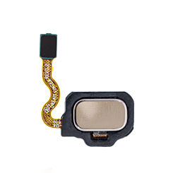Fingerprint Sensor with Flex Cable for Galaxy S8+ / S8 (MAPLE GOLD)