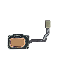 Fingerprint Sensor with Flex Cable for Galaxy S9+ / S9 (GOLD)
