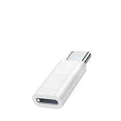 USB L to USB C Converter Adapter (20W) (Only Ground Shipping)