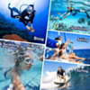 SHELLBOX Swimming 15M Waterproof Case Surfing Underwater Diving iPhone/Samsung QSK-2 (Only Ground Shipping)
