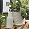 Curved Plastic Squeeze Diffuser Wash Clean Bottle (250ml)
