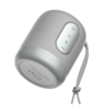 LDNIO BTS12 (2000 mAh) Bluetooth 5.0 Wireless Speaker (SILVER) (Only Ground Shipping)