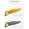 QianLi 011 Multi-Function Removal Glue Tool with Handle