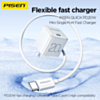 PISEN Pudding Single Port Fast Charger Set with USB C-C Cable (6ft) (20W) (Only Ground Shipping)