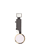 Grab the wholesale deals on the gold home button flex cable for iPhone SE 2020, iPhone 8 Plus, and iPhone 8 – for cosmetic use only.