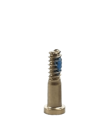 Bottom Screws for iPhone SE (2020) / 8P / 8 / 7P / 7 (GOLD) (Pack of 10)