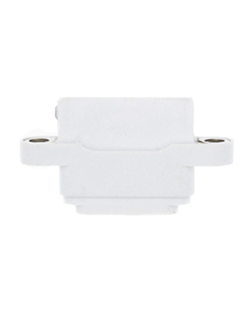 Charging Port for iPad 7 (2019 / iPad 8 (2020) / iPad 9 (2021) (Soldering Required) (WHITE)