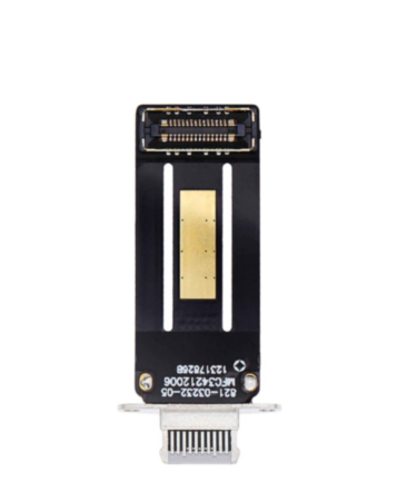 Charging Port Flex Cable for iPad Mini 6 (STARLIGH) (Premium)