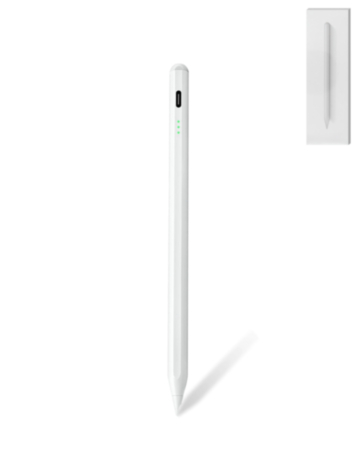 Active Stylus Pen for All iPads (Only Ground Shipping)